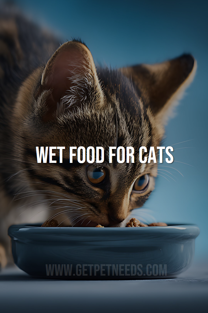 Wet food for cats