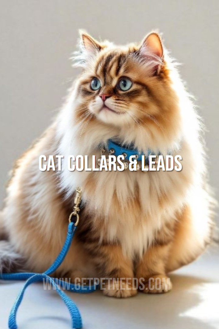 Cat collars & leads