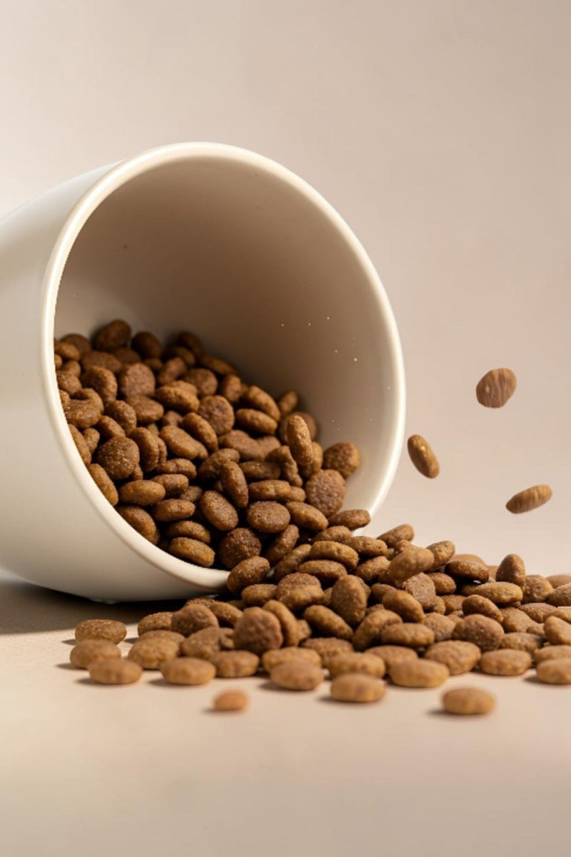 Dry Food for Cats