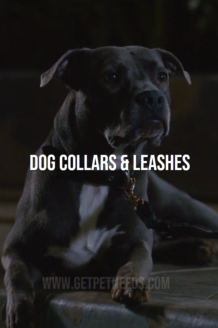 Dog collars & leashes