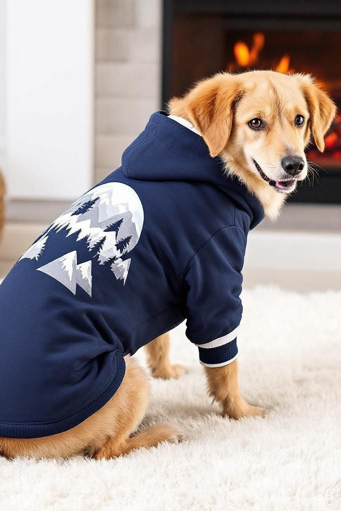 Dog Clothing & Accessories