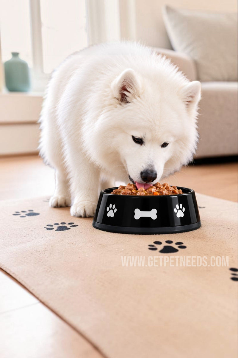 Wet Food for Dogs