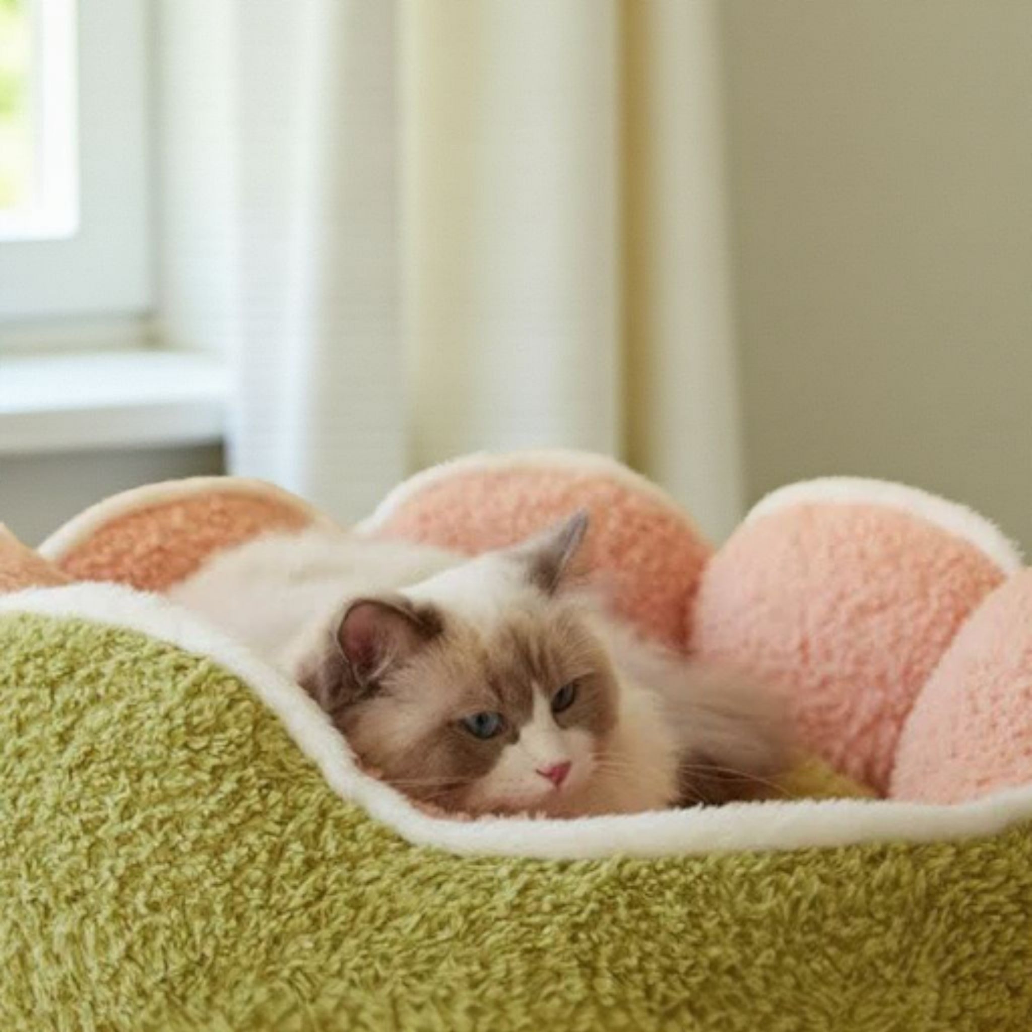 Semi Enclosed Warm Plush Pet Bed with Petal Design Circular Cat Pad.
