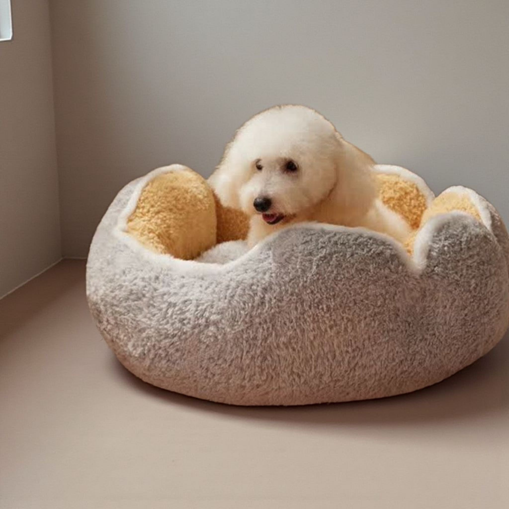 Semi Enclosed Warm Plush Pet Bed with Petal Design Circular Cat Pad.